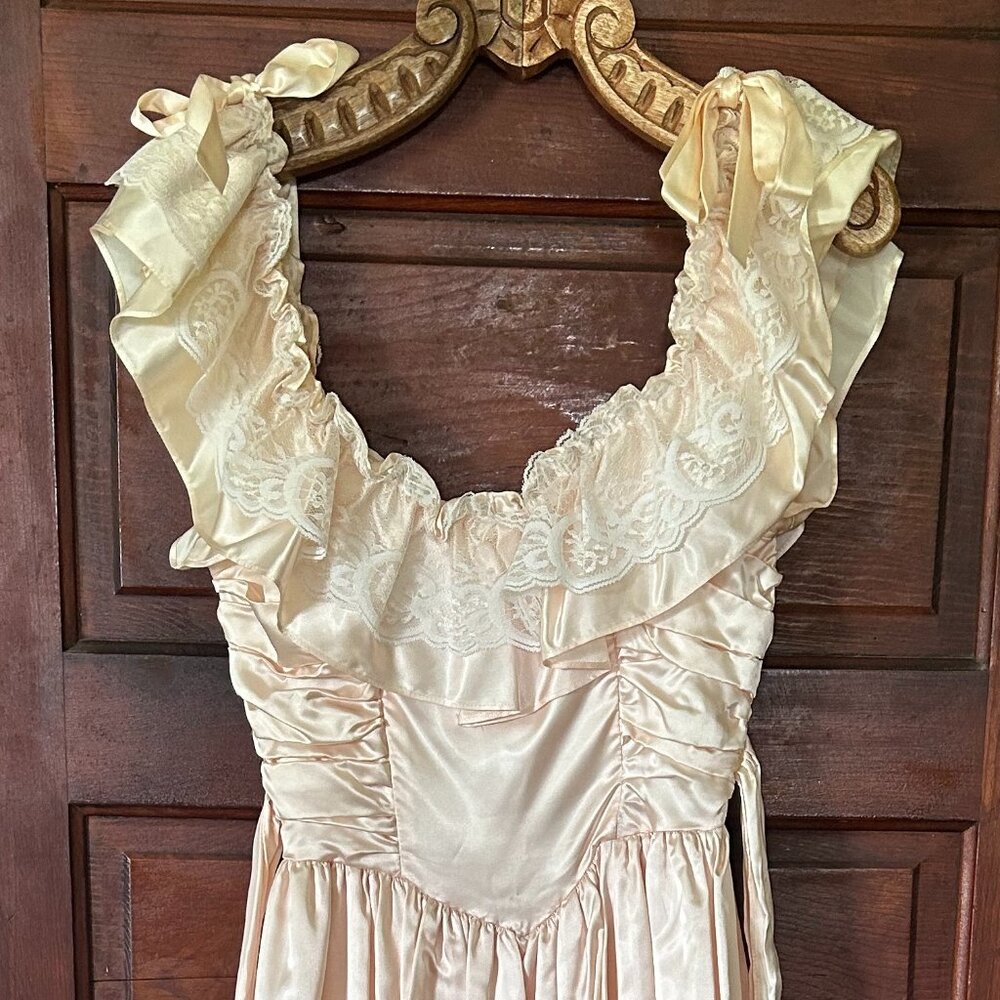 Steppin' Out Brand Vintage Silk and Lace Dress